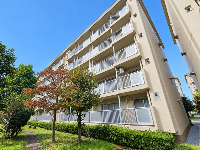 三郷早稲田団地　3-4-2号棟の外観|外はこのようになっています