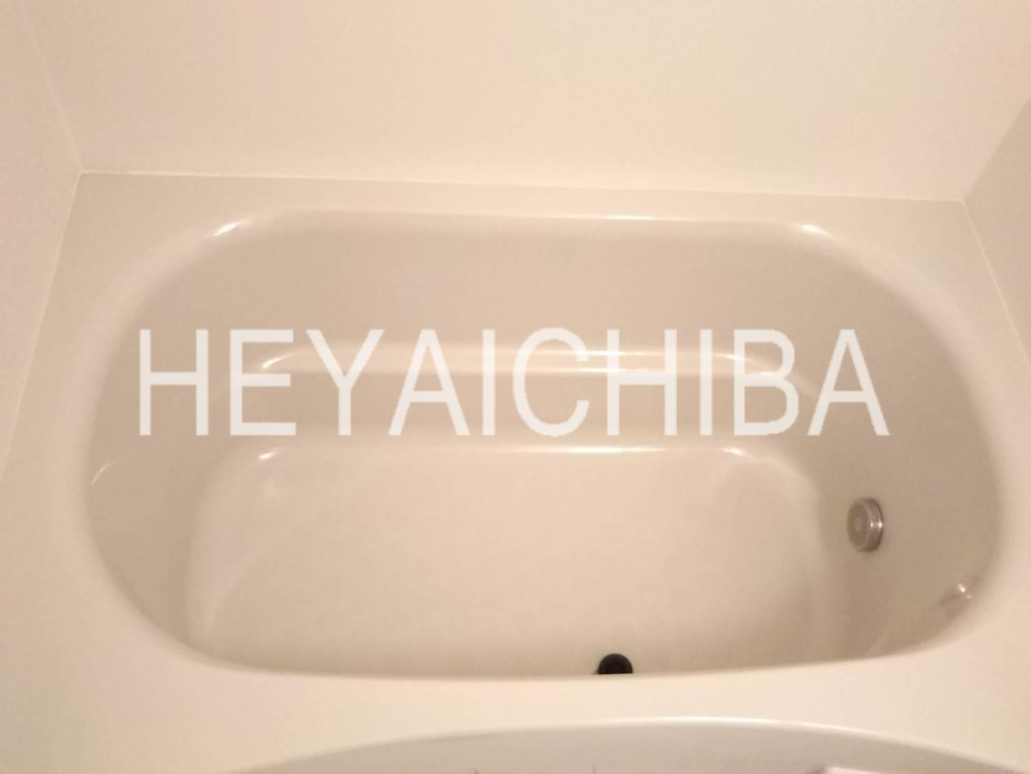 ワイズ柳橋の浴室