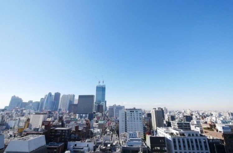新宿区新宿６丁目の賃貸マンションの展望