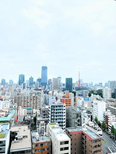 白金ザ・スカイ東棟の展望