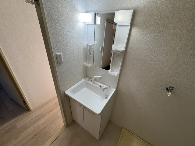 ロイヤルメゾンアドニスの洗面所