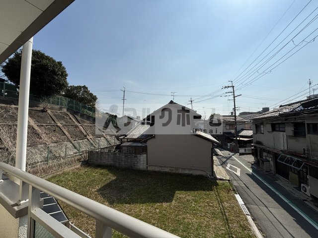 サンドレンスコートの展望