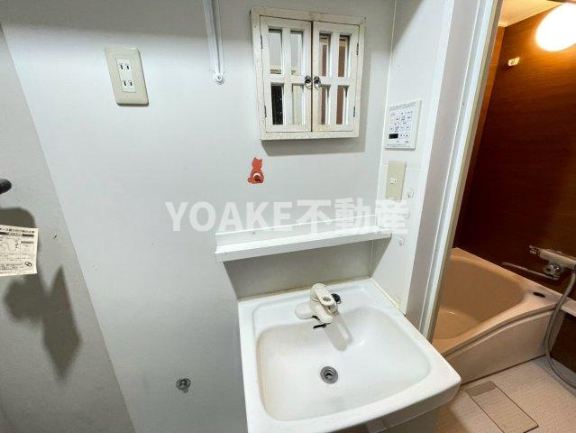 シャンボール相模原の洗面所