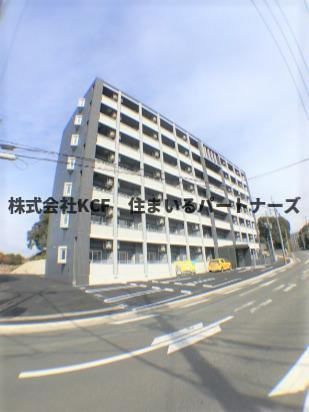 Aletta合川
