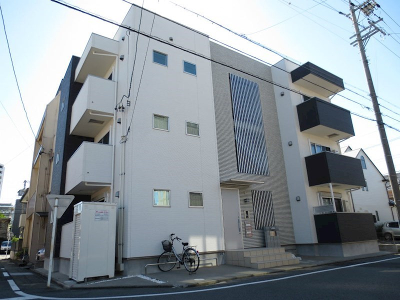 mapleの画像