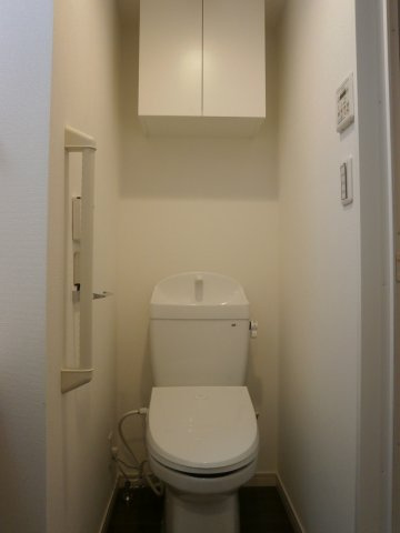 AZEST赤塚新町のトイレ|落ち着いた色調のトイレです