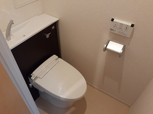 プラシード　カーサⅢのトイレ