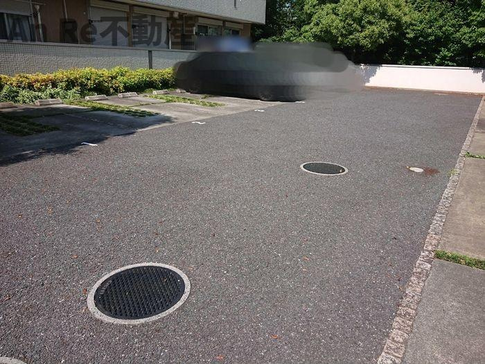 クレマチス・シモナ　クレマチスの駐車場