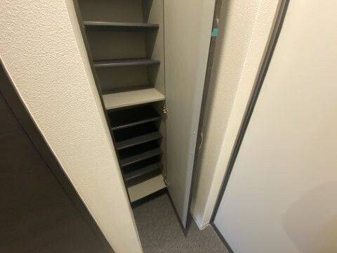 ジーメゾン西岩槻の玄関|※別部屋参照