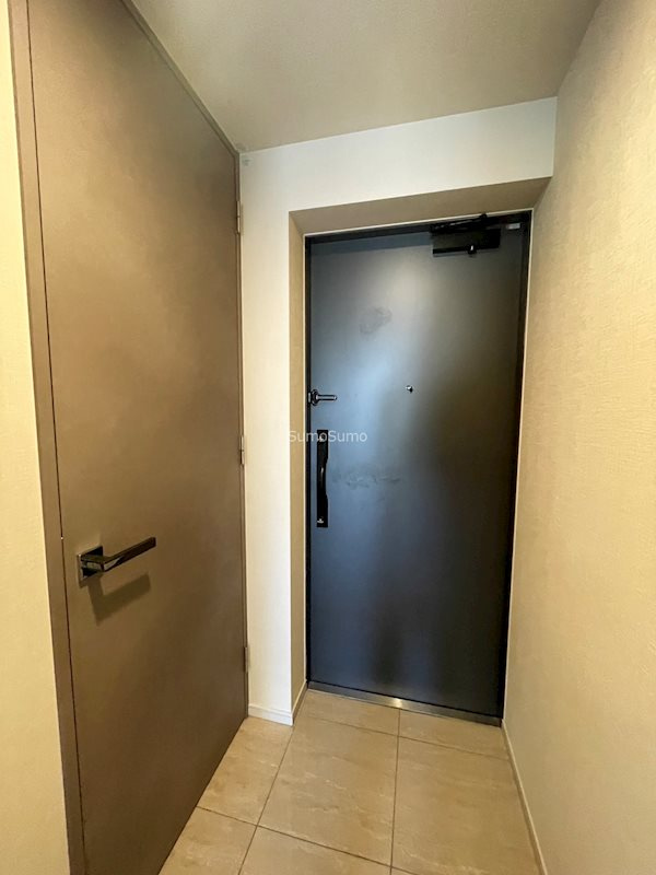 SK RESIDENCES SHINSAIBASHI (旧 SK RESIDENCE)の玄関