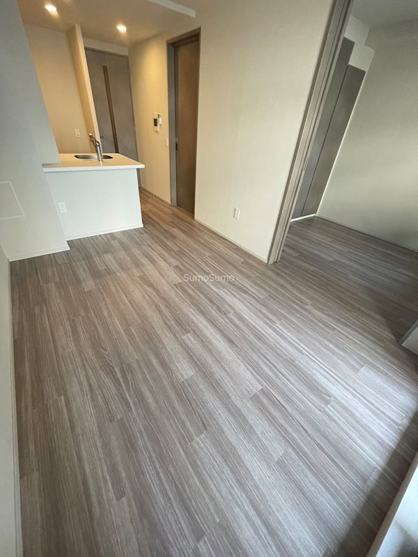 SK RESIDENCES SHINSAIBASHI (旧 SK RESIDENCE)の居間・リビング