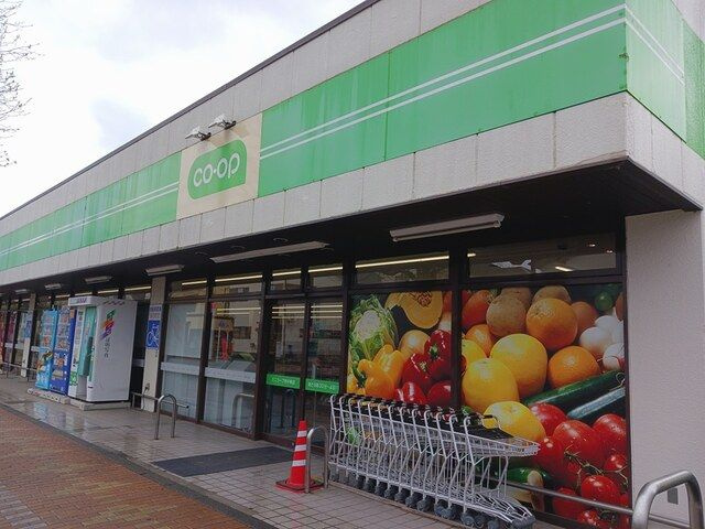 ワン　シーダー　ヒルズのその他