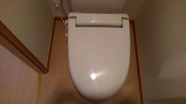 ワン　シーダー　ヒルズのトイレ
