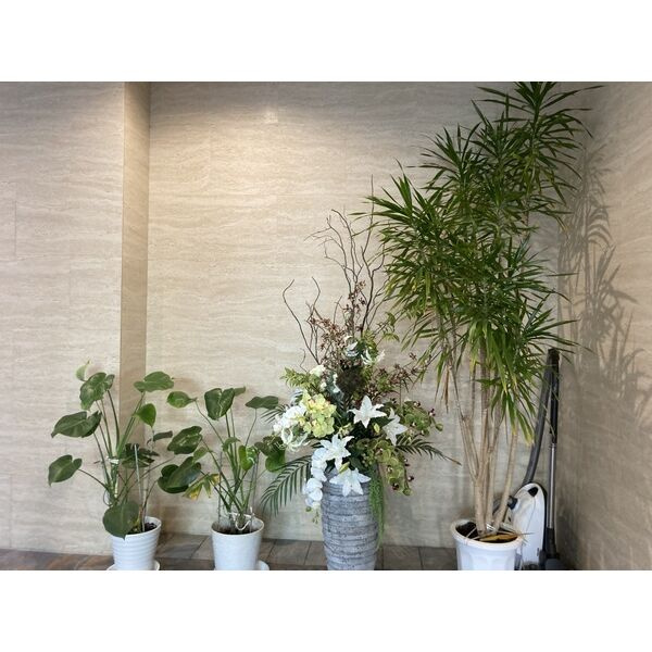 MIKI GARDENのその他