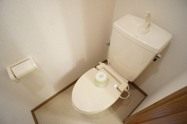 落ち着いた色調のトイレです
