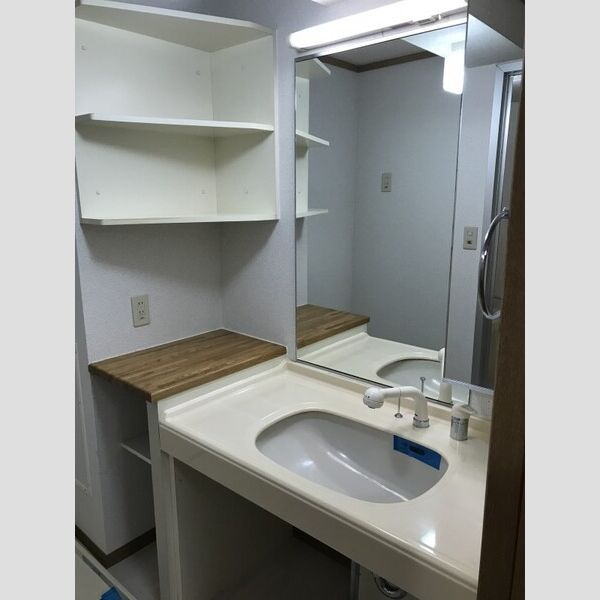 フルーレ辻町の洗面所