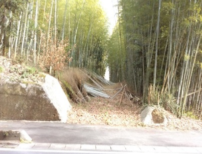 三重県津市白山町南出売土地600万円の外観