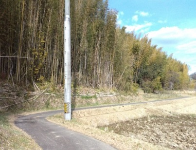 三重県津市白山町南出売土地600万円の周辺