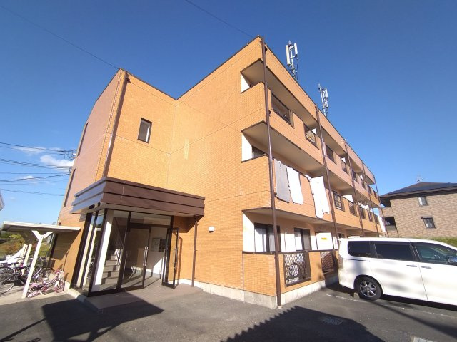 ハニーロイヤル