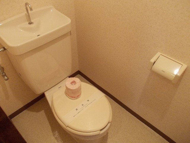アーバンメロンのトイレ|落ち着いた色調のトイレです