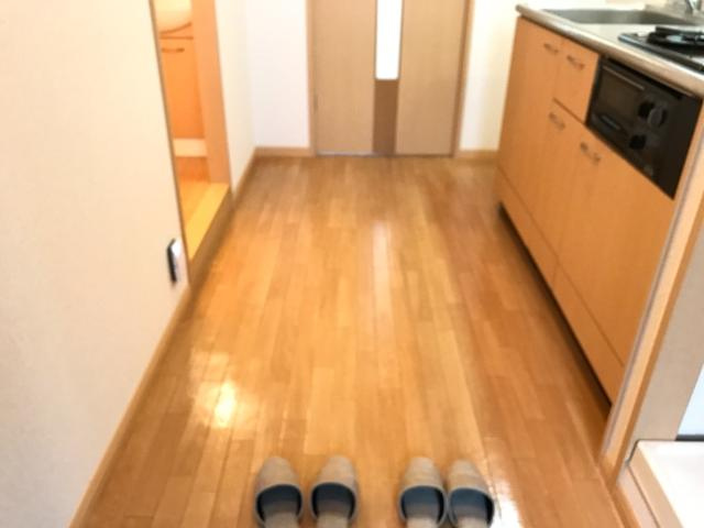 ソレイユⅢ番館の内装|廊下