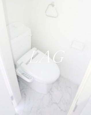 【トイレ】 | ブリエラクティⅢ | トイレです。