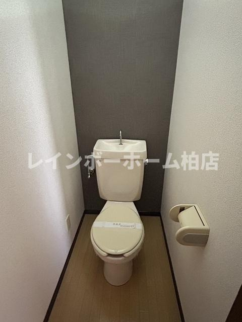 特典：仲介手数料が50％OFFです‼のトイレ