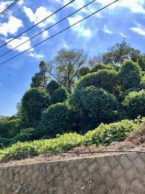 【展望】 | 大庭戸建