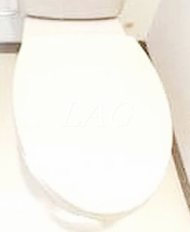 【トイレ】 | リッジコム | トイレです。
