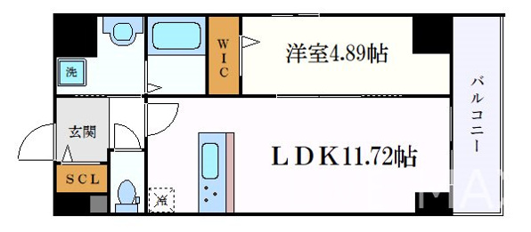 GRAN DUKE栄elima