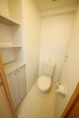 半田市昭和町４丁目の賃貸マンションのトイレ|別部屋同間取りのお写真となります。参考にご覧くださいませ。