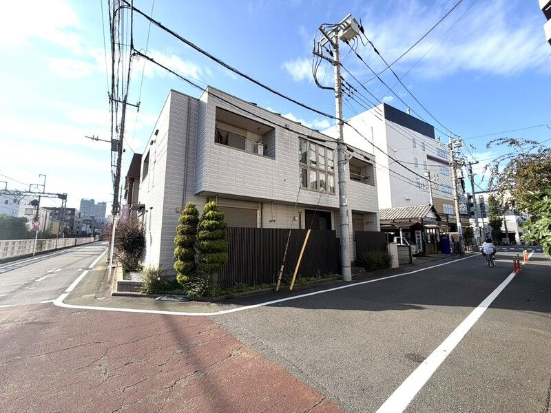 はなみずき