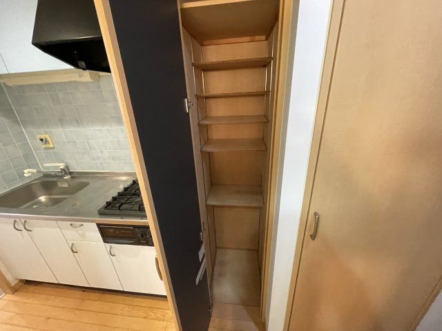 川崎市麻生区細山５丁目の賃貸マンションの収納