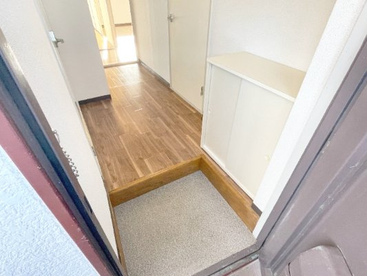 皆川マンションの玄関