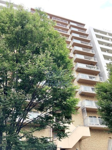 イトーピア渋谷桜ヶ丘の外観