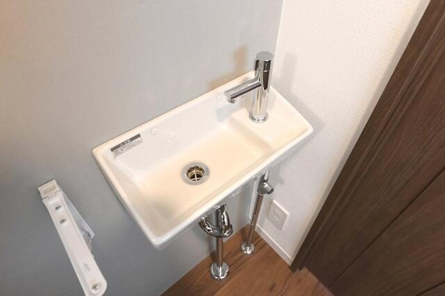 スプリングバンク(スプリングバンク)の洗面所