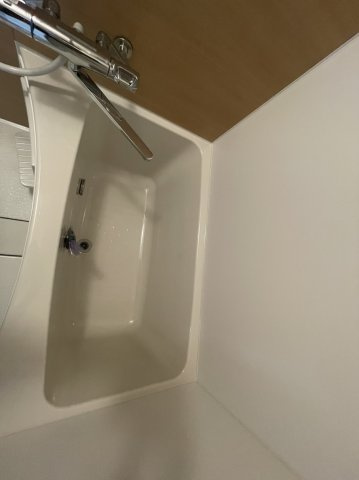 テラスジョージタウンの浴室