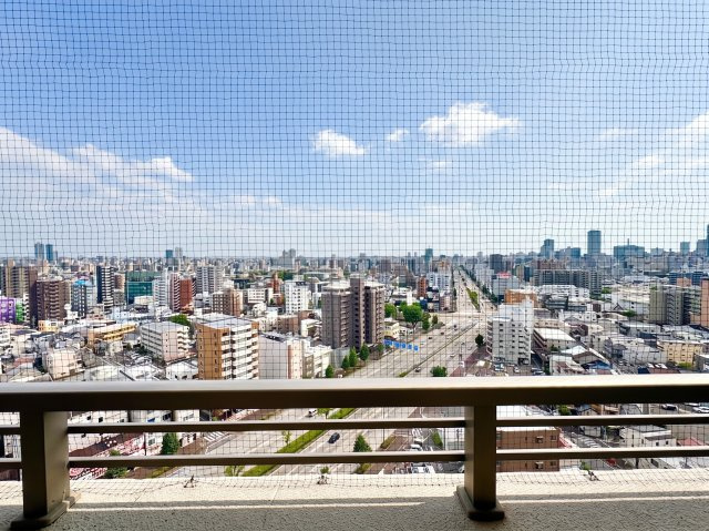 ヴィークタワー東白壁の展望