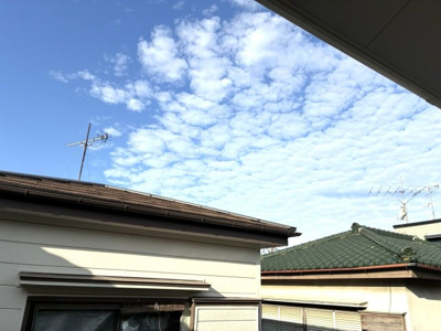 【展望】 | SANFLOWER川口