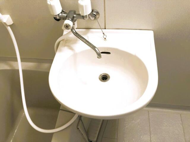 プレール学芸大学弐番館の洗面所
