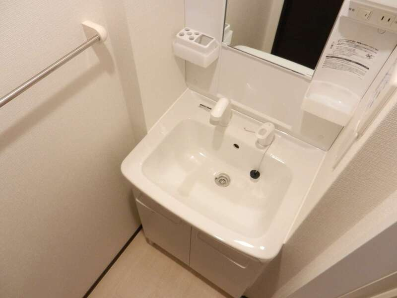 レオネクスト舟橋の洗面所