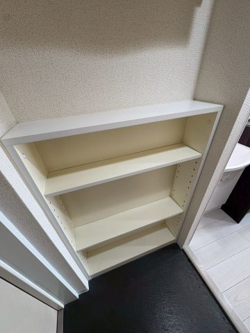 テラスジョージタウンの収納|小物を収納するのに便利です