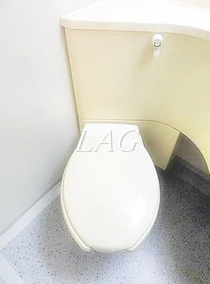 【トイレ】 | スカイコート新宿曙橋 | トイレです。