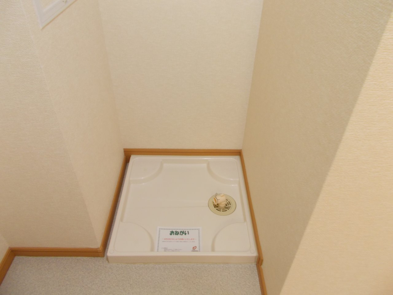 田井戸ハウスのその他