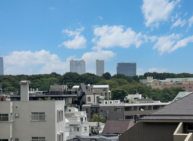 藤和シティホームズ代々木２の展望|藤和シティホームズ代々木２：眺望画像です！
