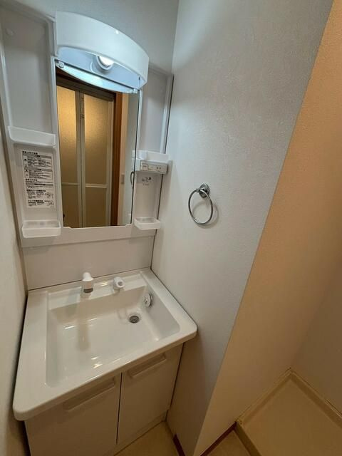 駒形ハイツの洗面所