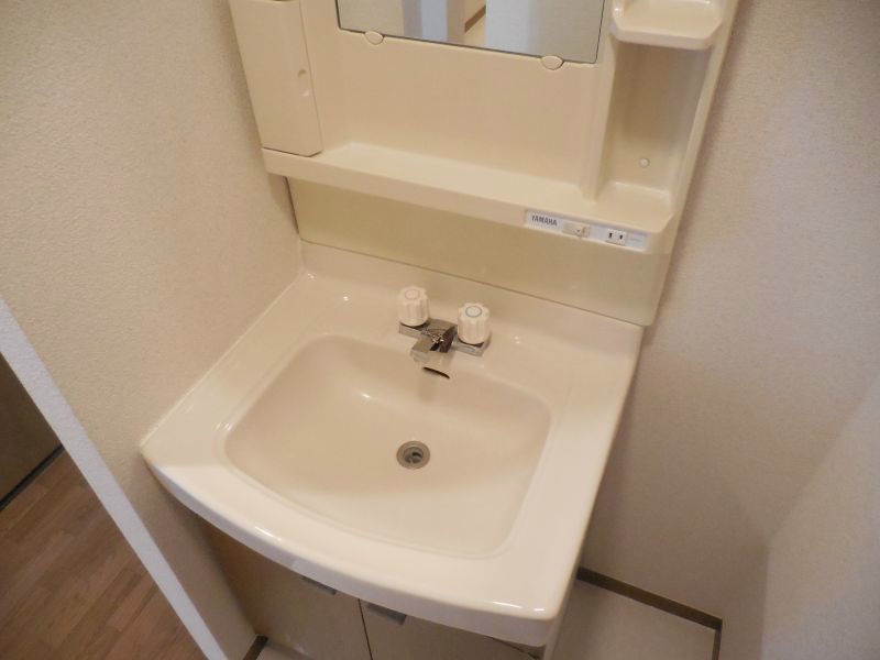 ウィンザーハイム向ヶ丘の洗面所