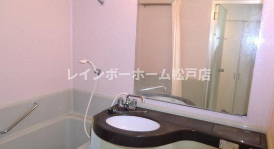 ワコーレエレガンス北小金仲介手数料（賃料の1.10ヵ月）の50％OFF対象物件！の洗面所|広い洗面スペース