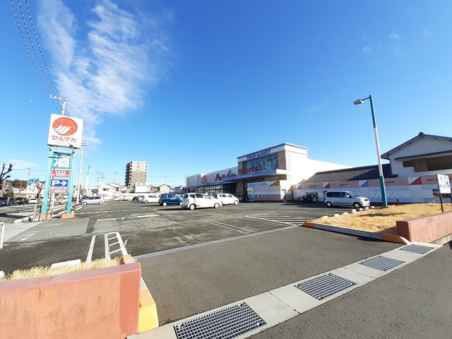 パストラーレ　Ⅳのその他|その他