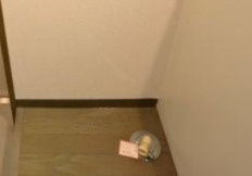 メゾン・ド・メルヴェイユのその他